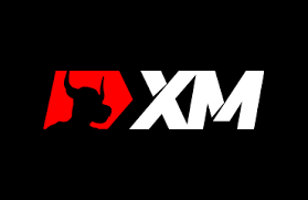 XM Review